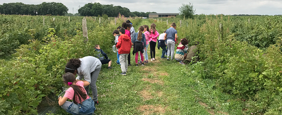 Les enfants à la découverte du monde agricole